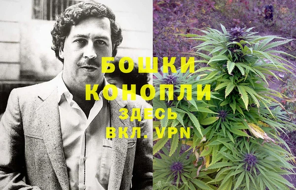 ГАЛЛЮЦИНОГЕННЫЕ ГРИБЫ Заволжье