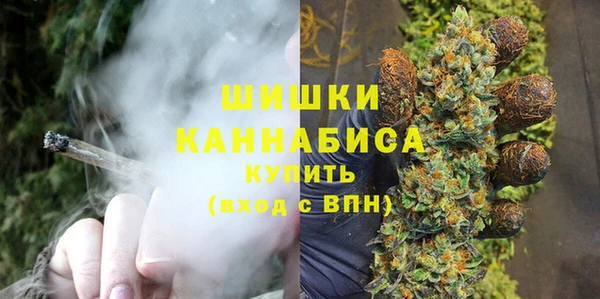ГАЛЛЮЦИНОГЕННЫЕ ГРИБЫ Заволжье