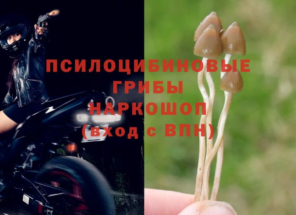 дистиллят марихуана Заводоуковск